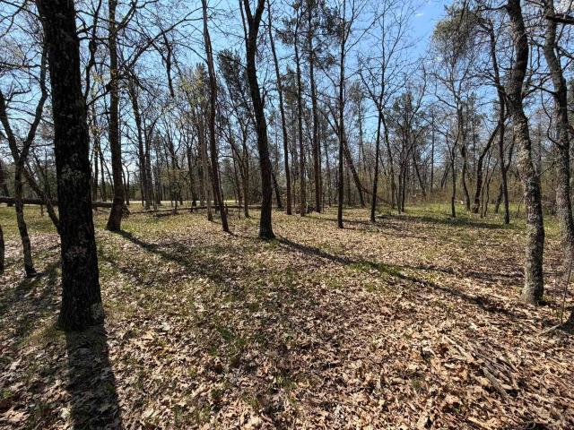 Land for sale in Nekoosa, Wisconsin