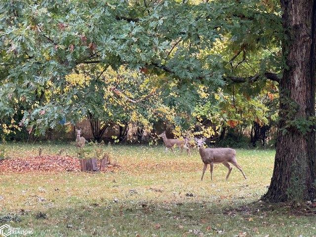 Land for sale in Fairfield, Iowa