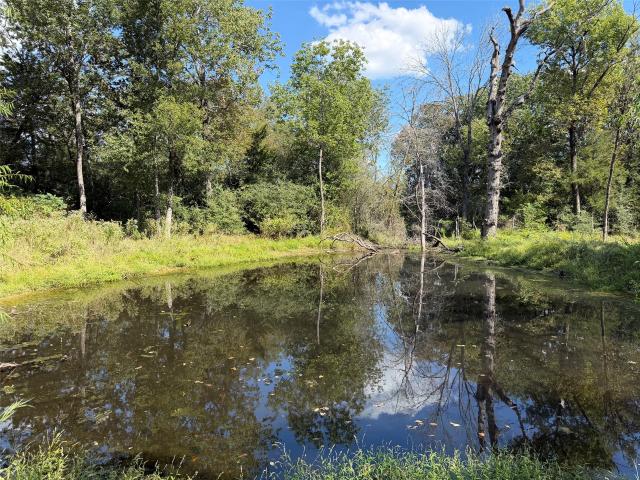 Farm for sale in Oakwood, Leon County