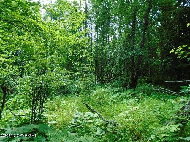 Land for sale in Holt, Missouri