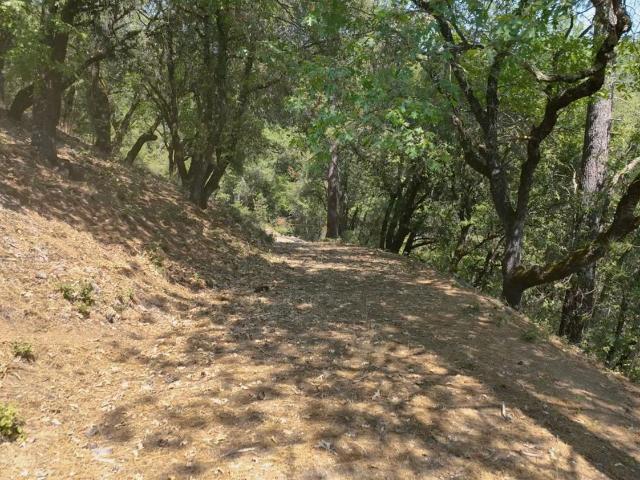 Land for sale in Grass Valley, California