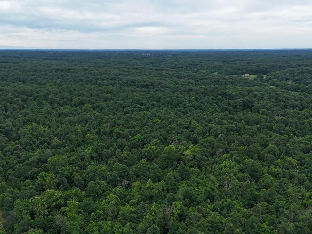 Land for sale in Seneca, Missouri
