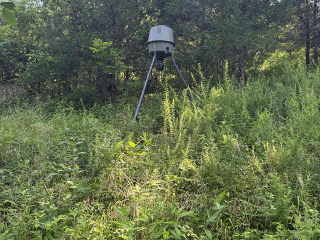 Land for sale in Kentucky