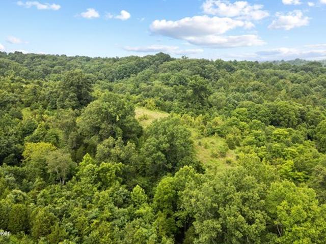 Land for sale in Mount Eden, Kentucky