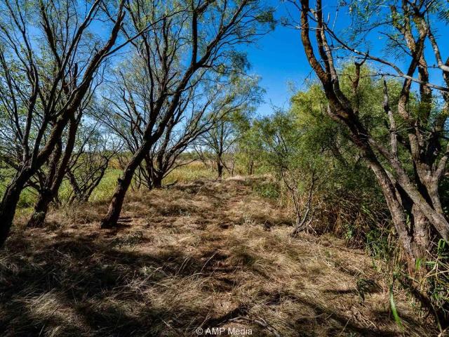 Land for sale in Rule, Texas