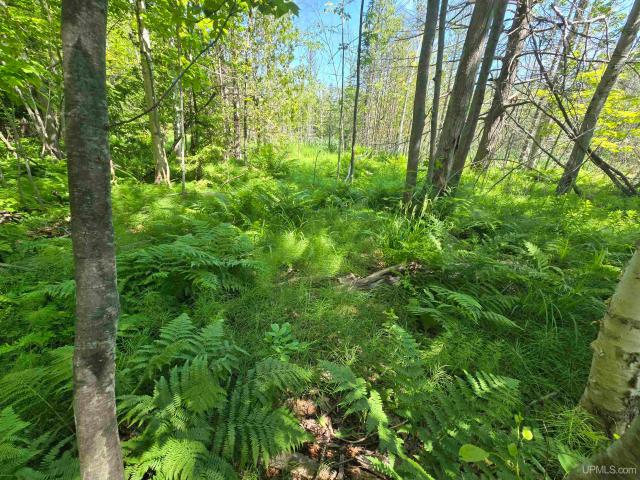 Land for sale in Houghton, Michigan