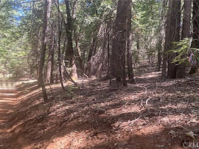 Land for sale in Nevada City, California