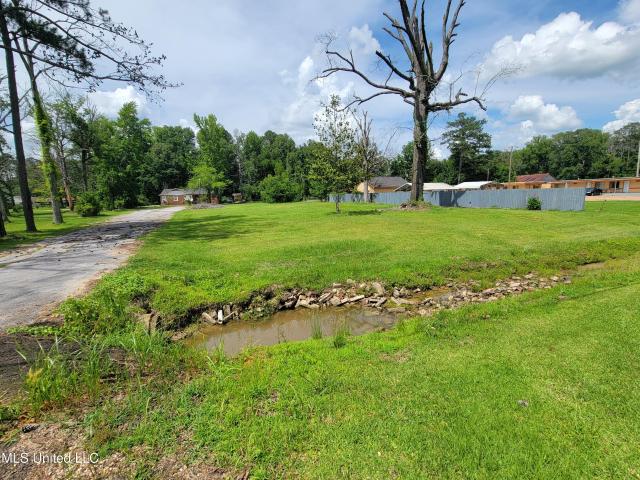 Land for sale in Forest, Mississippi
