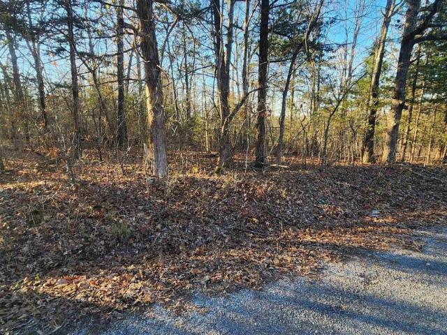 Land for sale in Horseshoe Bend