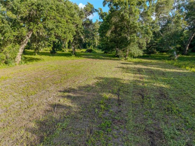 Land for sale in Sweeny, Texas