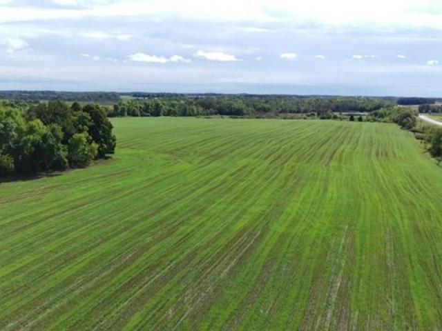 Land for sale in Todd, Minnesota
