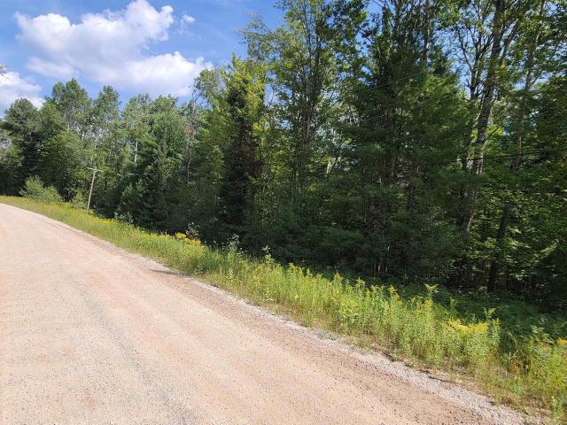 Land for sale in Nunda Township, Cheboygan County