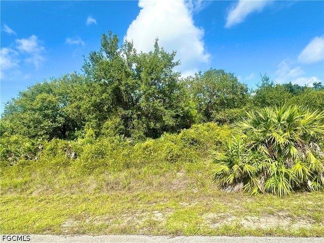 Land for sale in Lehigh Acres, Florida