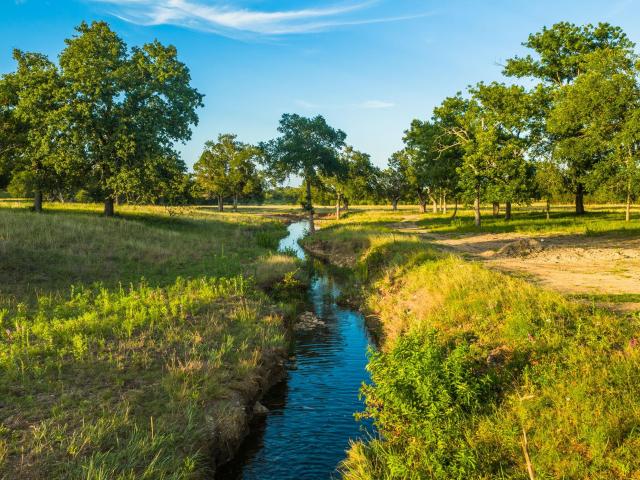 Farm for sale in Bertram, Texas