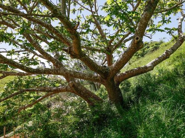 Land for sale in Pukemiro, Waikato