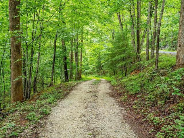 Land for sale in Nellysford, Nelson County