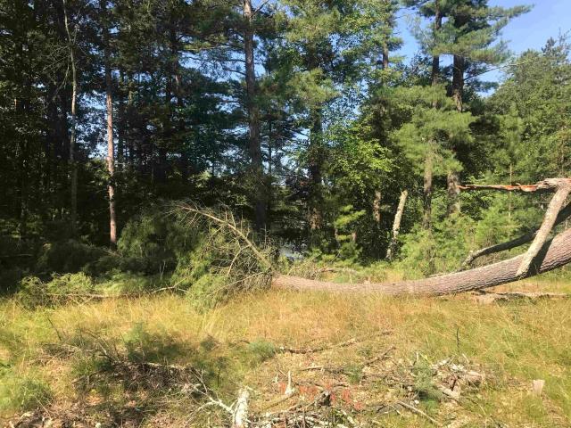 Land for sale in Wisconsin