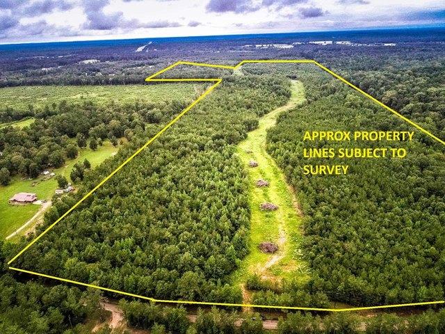 Land for sale in Panola, Texas