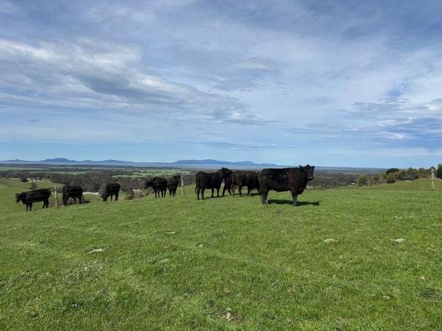 Property for sale in Foster, Victoria