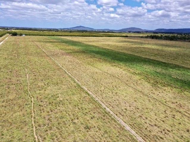 Cottage for sale in Horseshoe Lagoon, Queensland