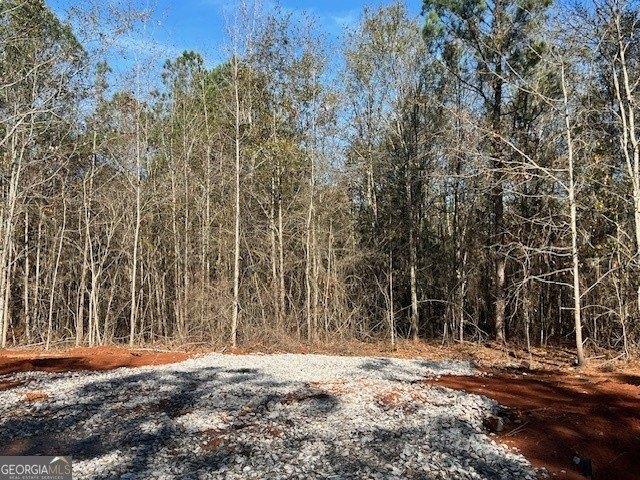 Land for sale in Barnesville, Georgia