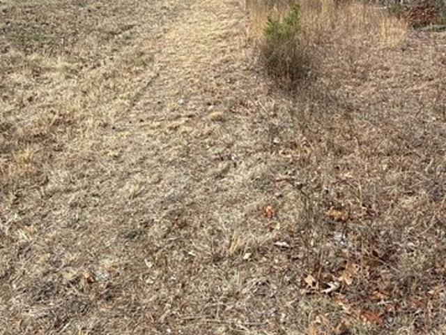 Land for sale in Ark