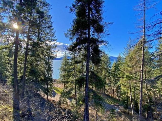 Land for sale in Hope, Idaho
