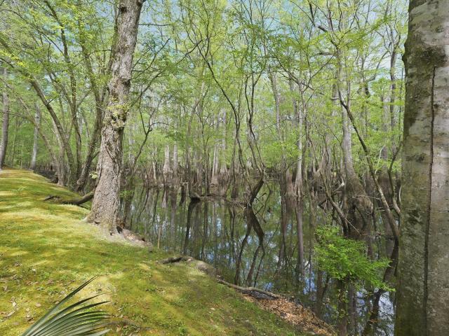 House for sale in Ridgeville, South Carolina