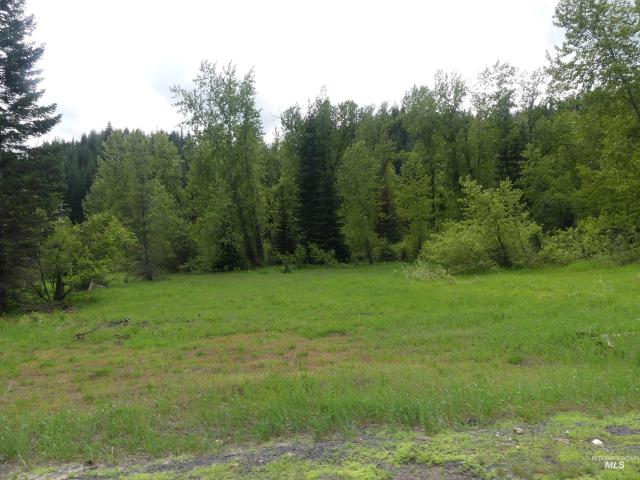 Land for sale in Pierce, Idaho