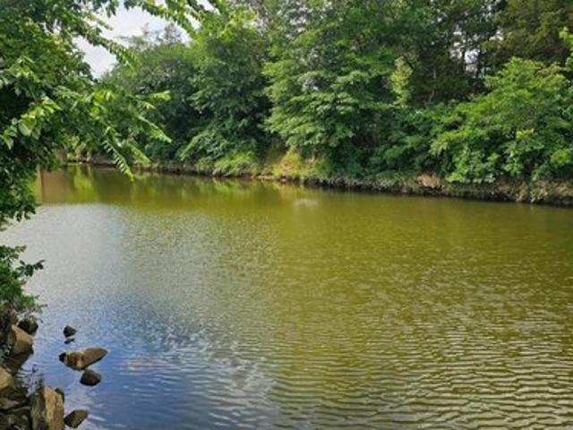 Land for sale in Ohatchee, Alabama