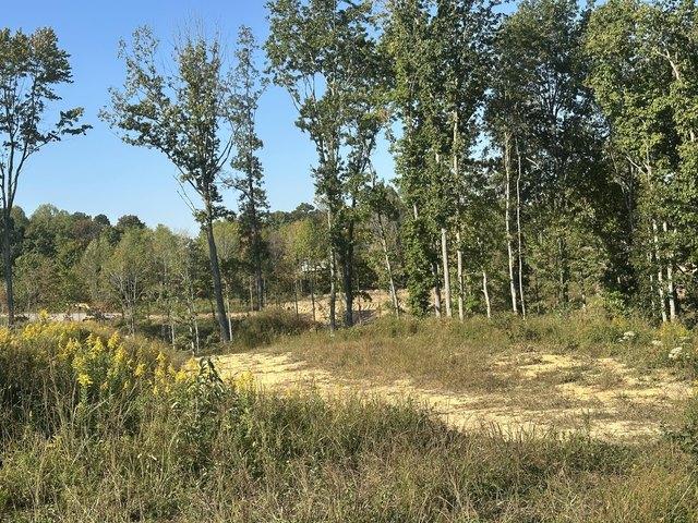 Land for sale in Corbin, Whitley County