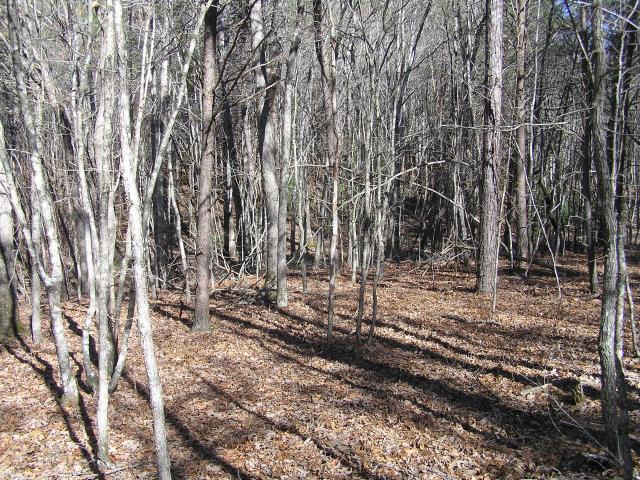 Land for sale in Tennessee