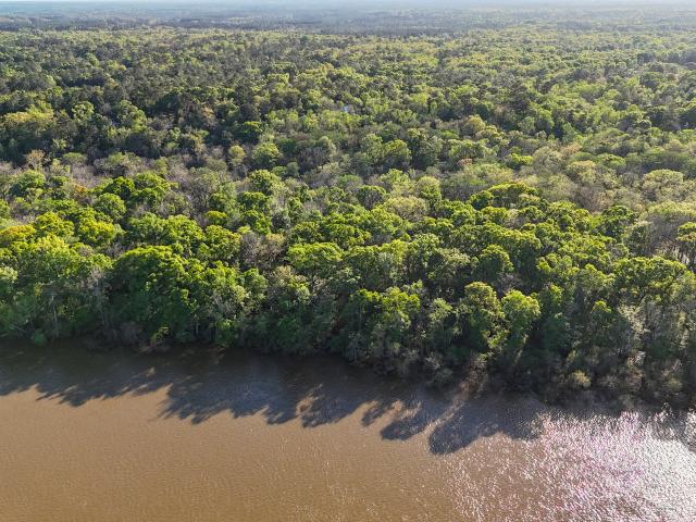 House for sale in Jesup, Georgia