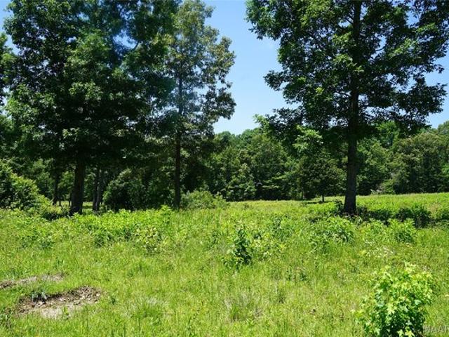 Land for sale in Elmore, Alabama