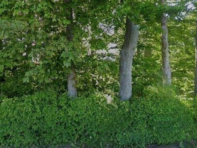 Erhvervsejendom til leje i Ringsted