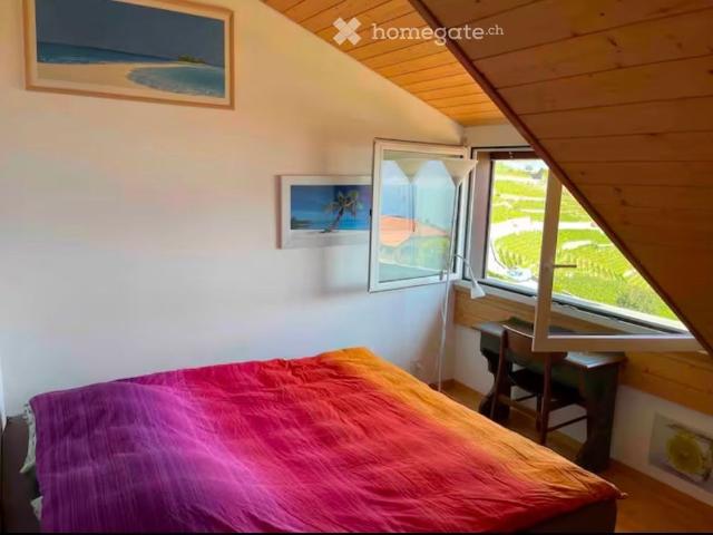 Studio mieten in Rivaz, Waadt