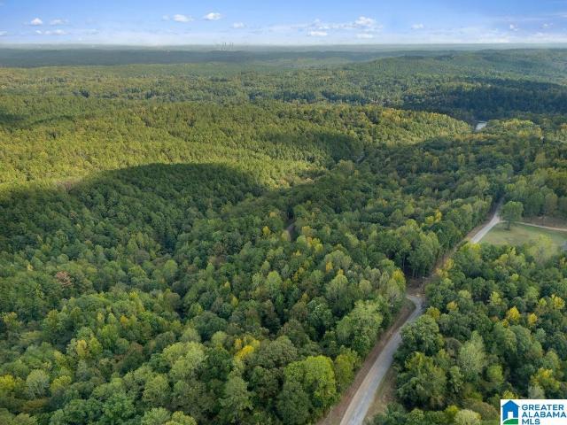Land for sale in Cordova, Walker County