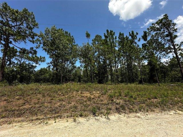 Land for sale in Morriston, Florida