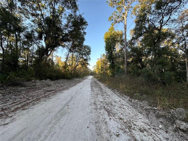 Land for sale in Dixie, Florida