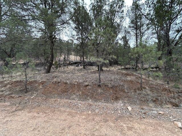 Land for sale in Timberon, New Mexico