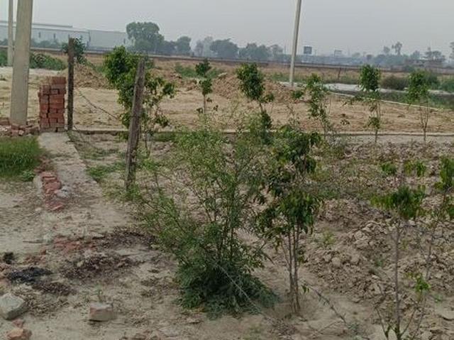 Land for sale in Hariana