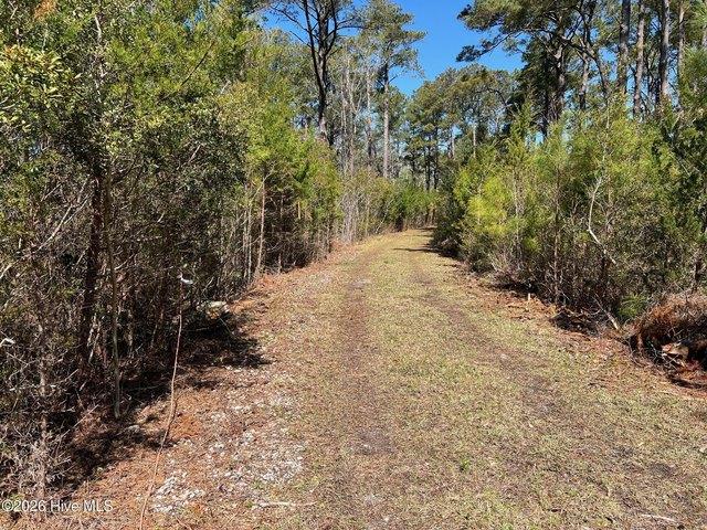 Land for sale in Sealevel, North Carolina