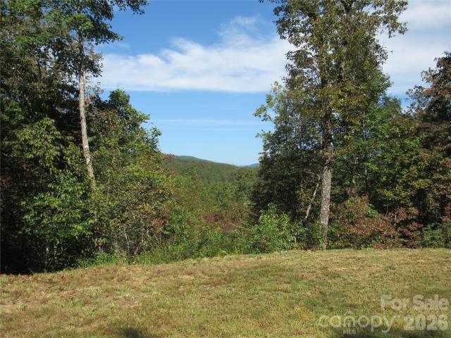 Land for sale in Marion, North Carolina