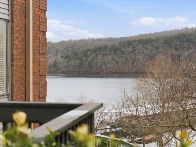 Condo for sale in Forsyth, Missouri