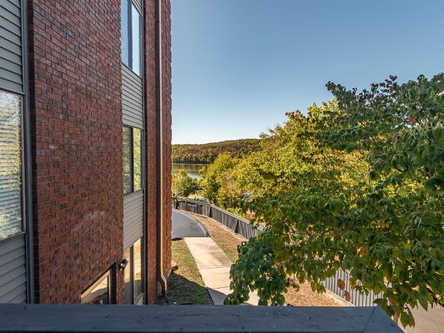 Condo for sale in Forsyth, Taney County