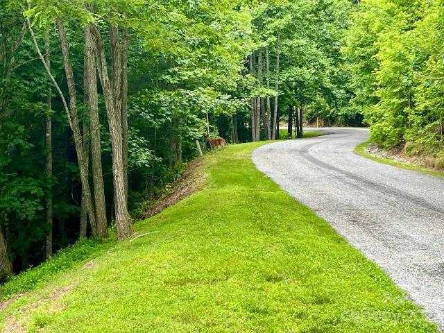 Land for sale in Etowah, North Carolina