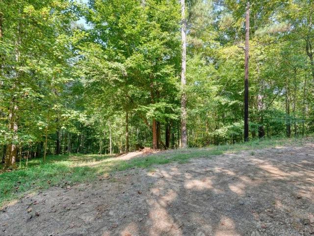 Land for sale in Waleska, Georgia