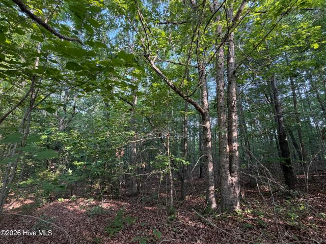 Land for sale in Rockingham, North Carolina