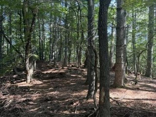 Land for sale in Franklin, North Carolina