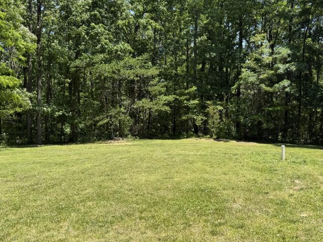 Farm for sale in Portland, Middle Tennessee